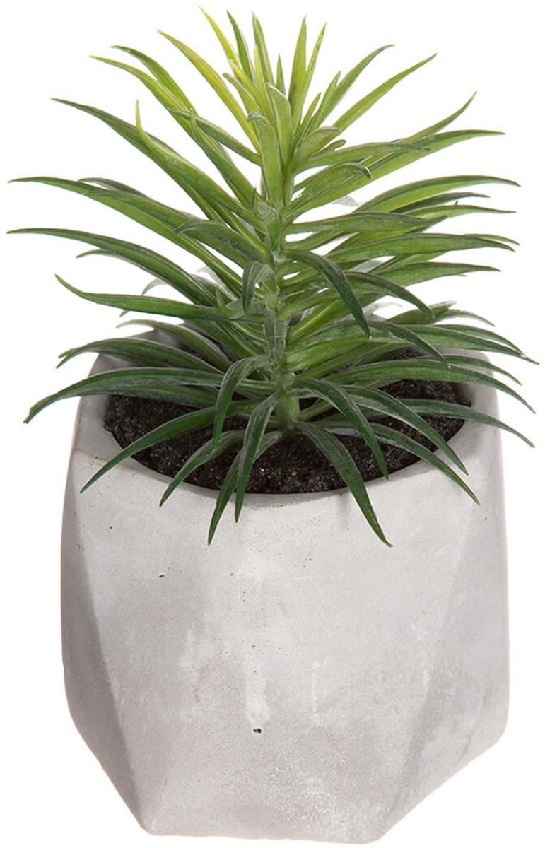 Atmosphera Kunstplant - Vetplant - Cement - Set van 3 - Nepplant - Voor Binnen - Met Pot - Succulent
