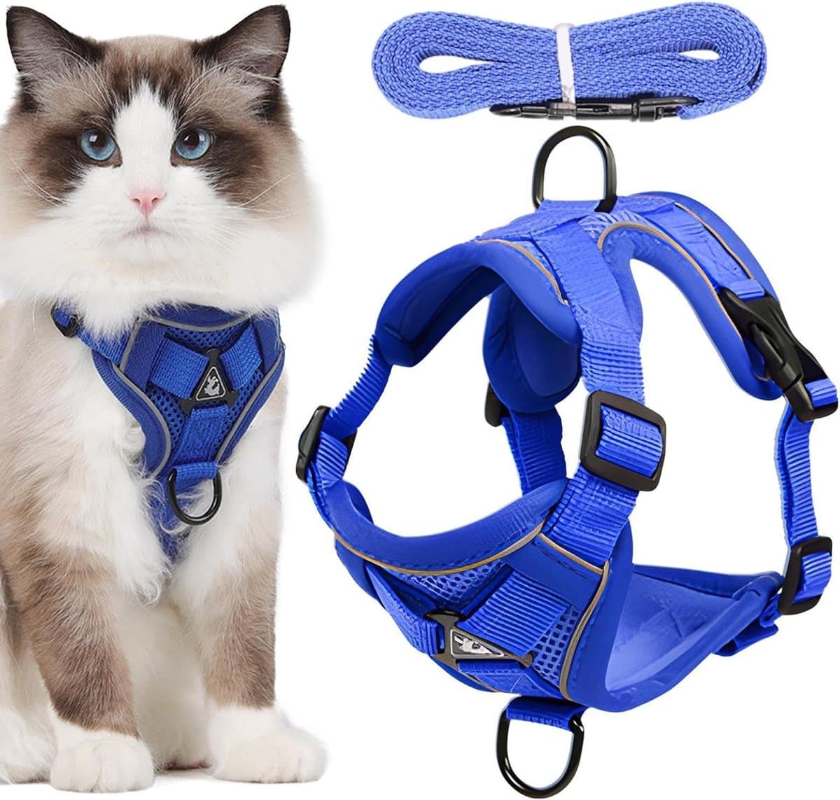Katten tuigje - Katten harnas - Buitenavonturen - Anti-ontsnapping ontwerp - Maat S - Blauw