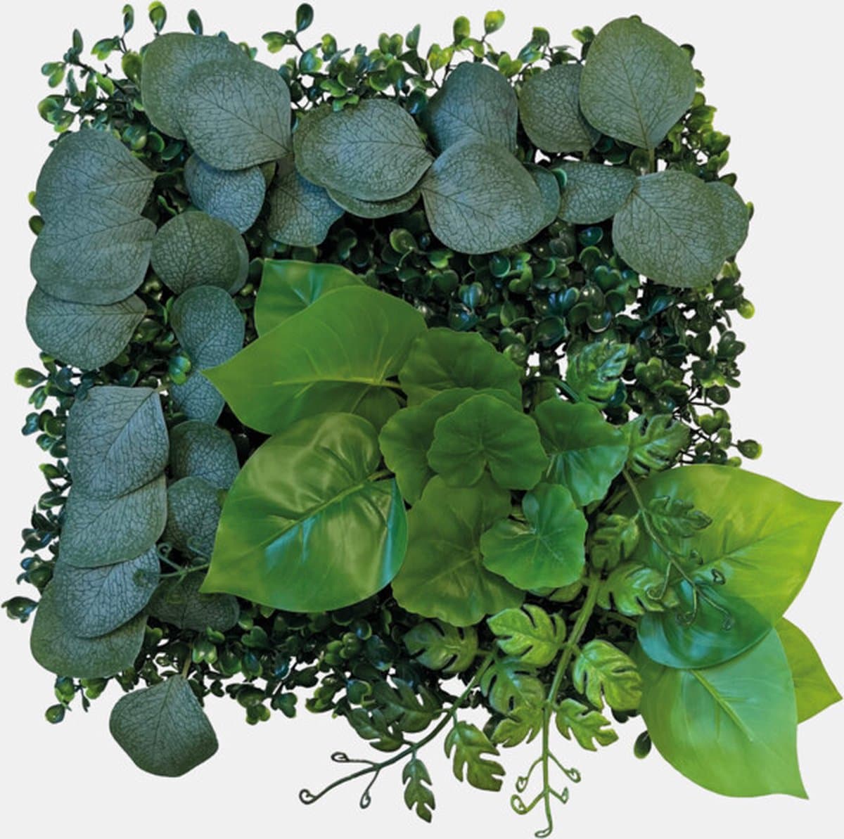 Repto Plant Achterwand Mat 1 25x25cm kunstplanten achterwand voor terrarium