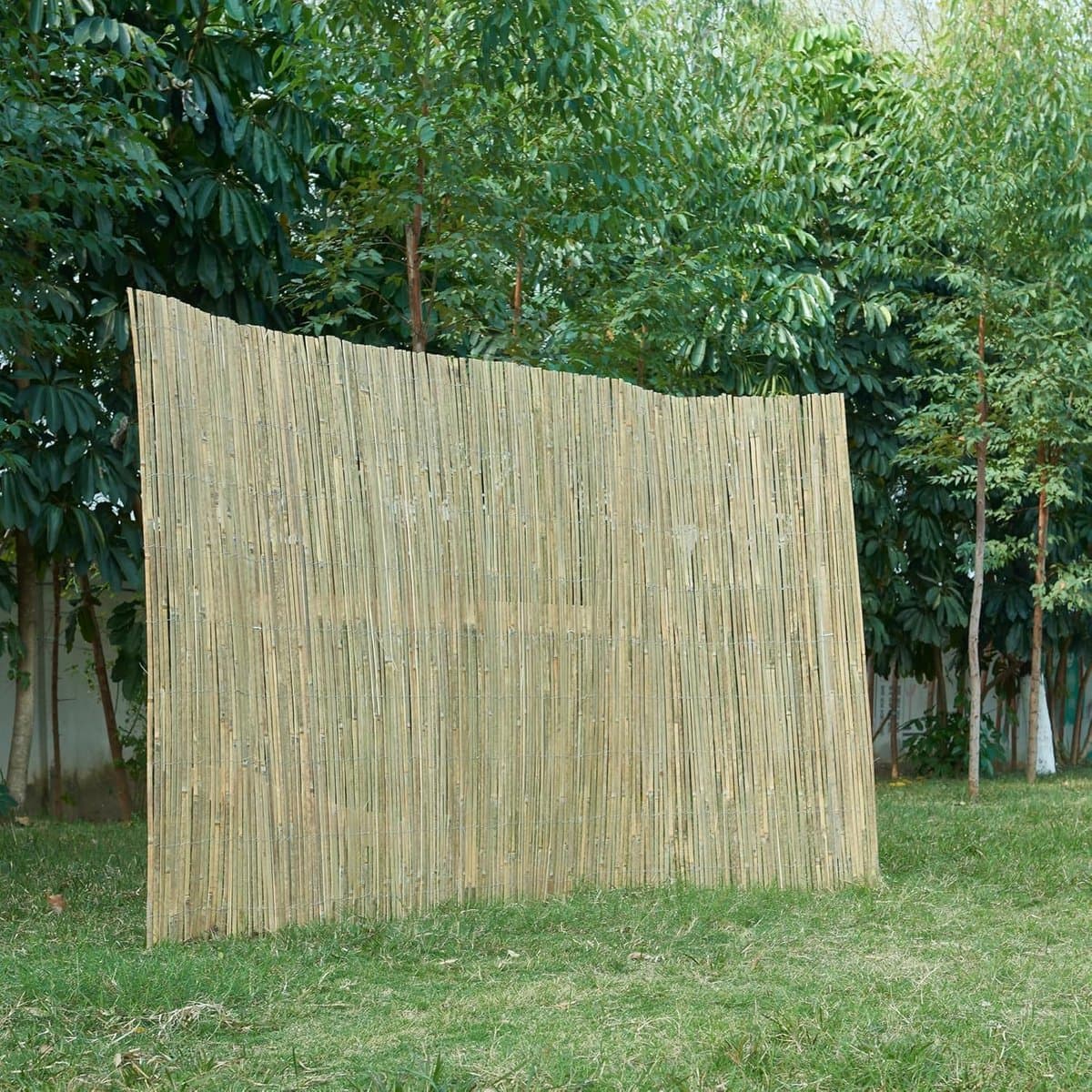 Natuurlijk Bamboe Scherm Hekwerk 120x300 cm Privacy Wind- en Waterbestendig