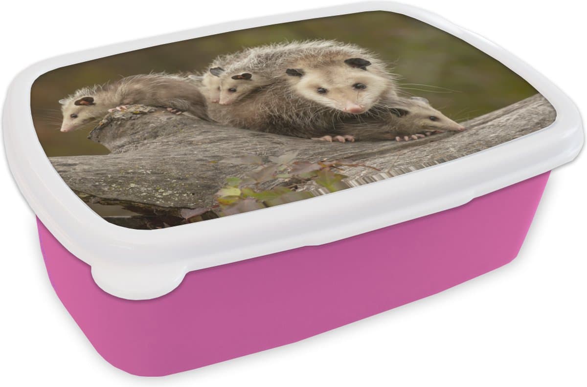 Broodtrommel Roze - Lunchbox - Brooddoos - Virginiaanse opossum met jongen - 18x12x6 cm - Kinderen - Meisje