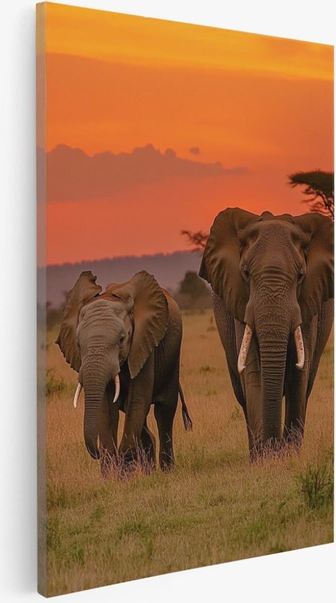 Saammp - Canvas Schilderij - 2 Olifanten - Dieren - Natuur - 40x60 - Foto op canvas - Wanddecoratie - Muurdecoratie Woonkamer - Slaapkamer decoratie - Canvas Print