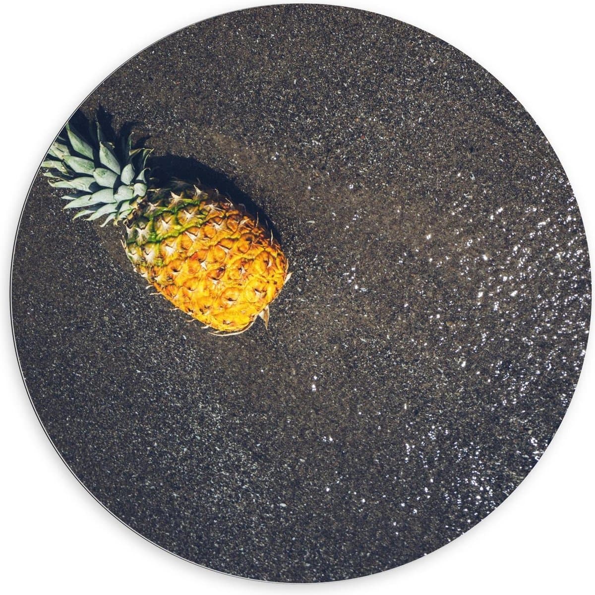Dibond Wandcirkel - Ananas bij het Water - 100x100cm Foto op Aluminium Wandcirkel (met ophangsysteem)