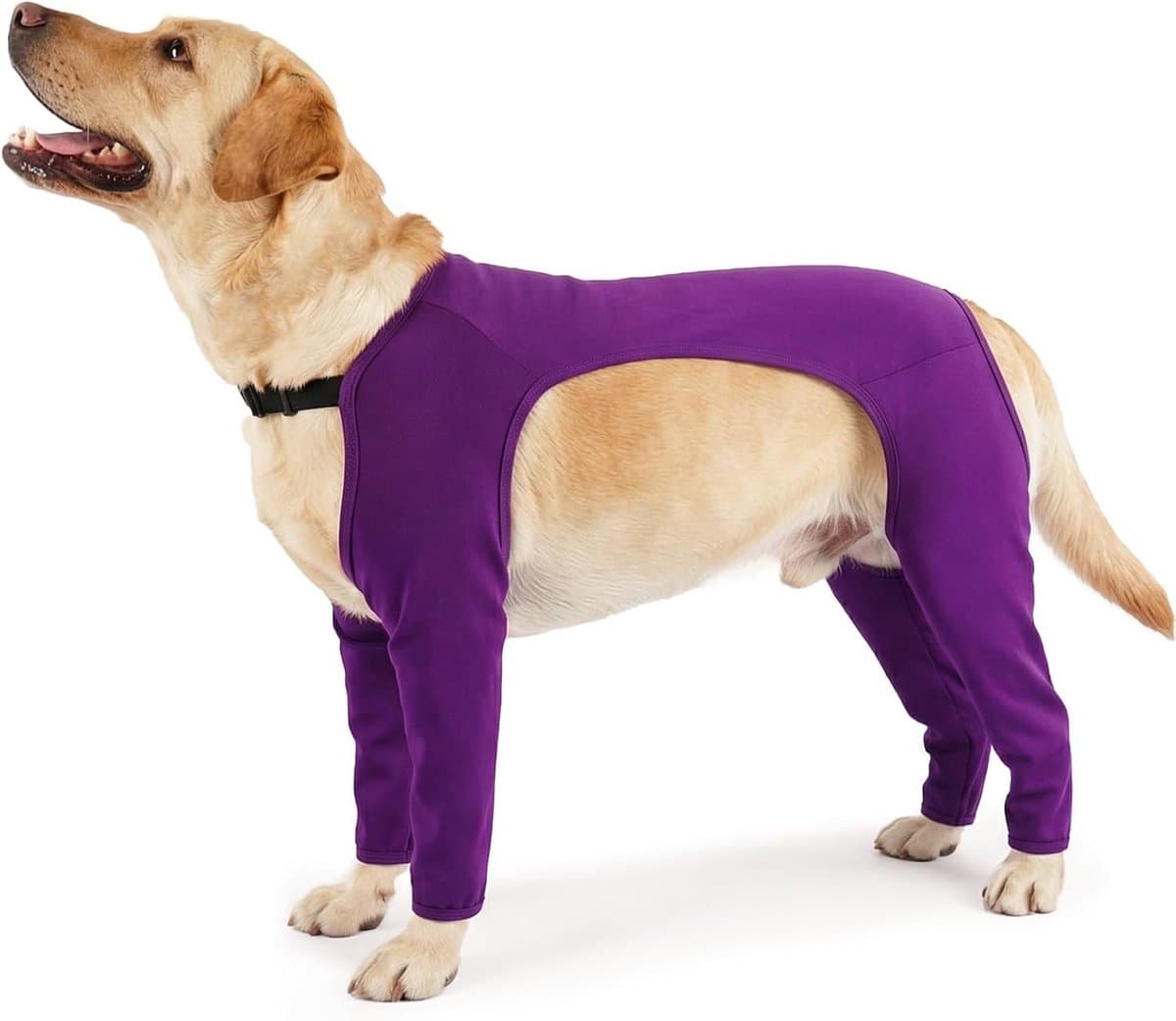 Honden Herstelpak - Wondbeschermer Hond - Chirurgisch Herstel - Volledige Dekking - Maat M - Paars