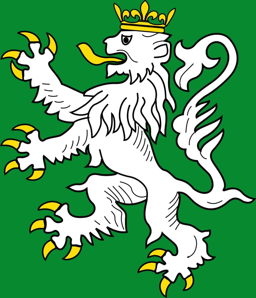 Vlag Itter 200x300cm