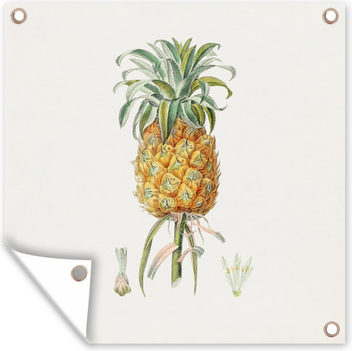 Tuindoek Ananas - Fruit - Plant - 100x100 cm