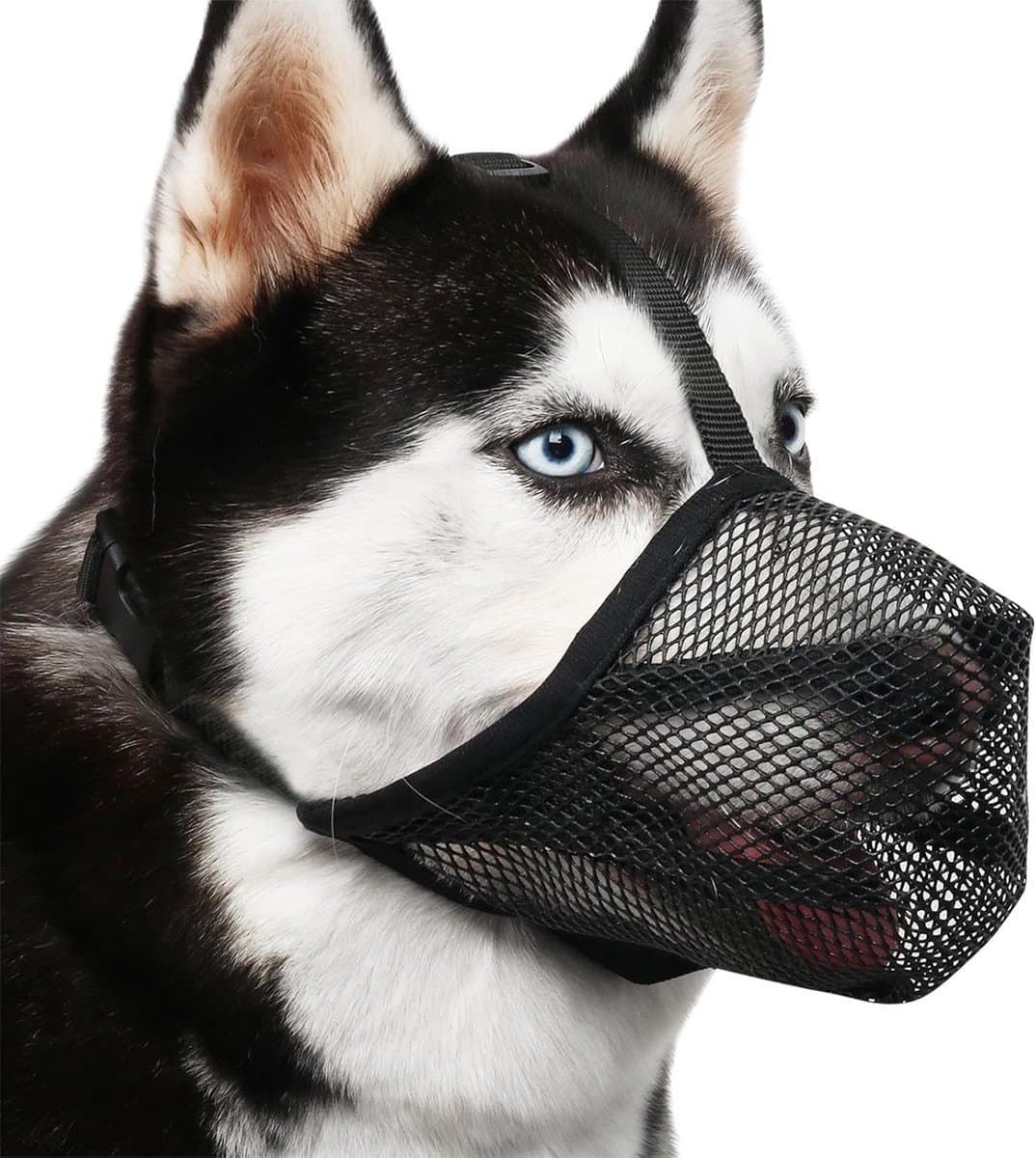 Mesh hondenmuilkorf voor grote honden ter voorkoming van bijten en kauwen (L) Set