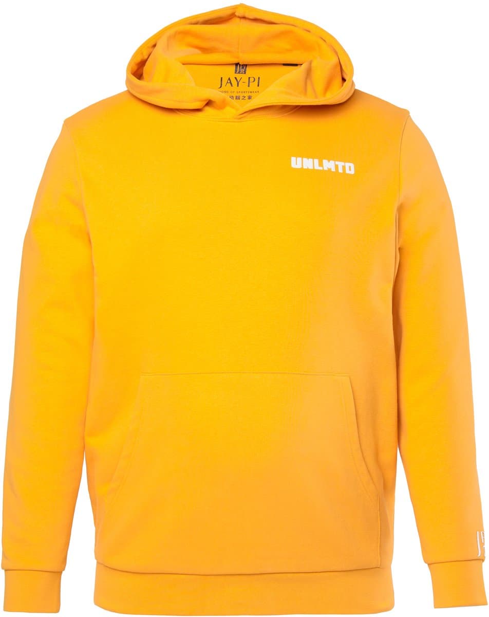 JAY-PI - Heren - Hoodie fitness capuchon - Wortel - Maat 4XL