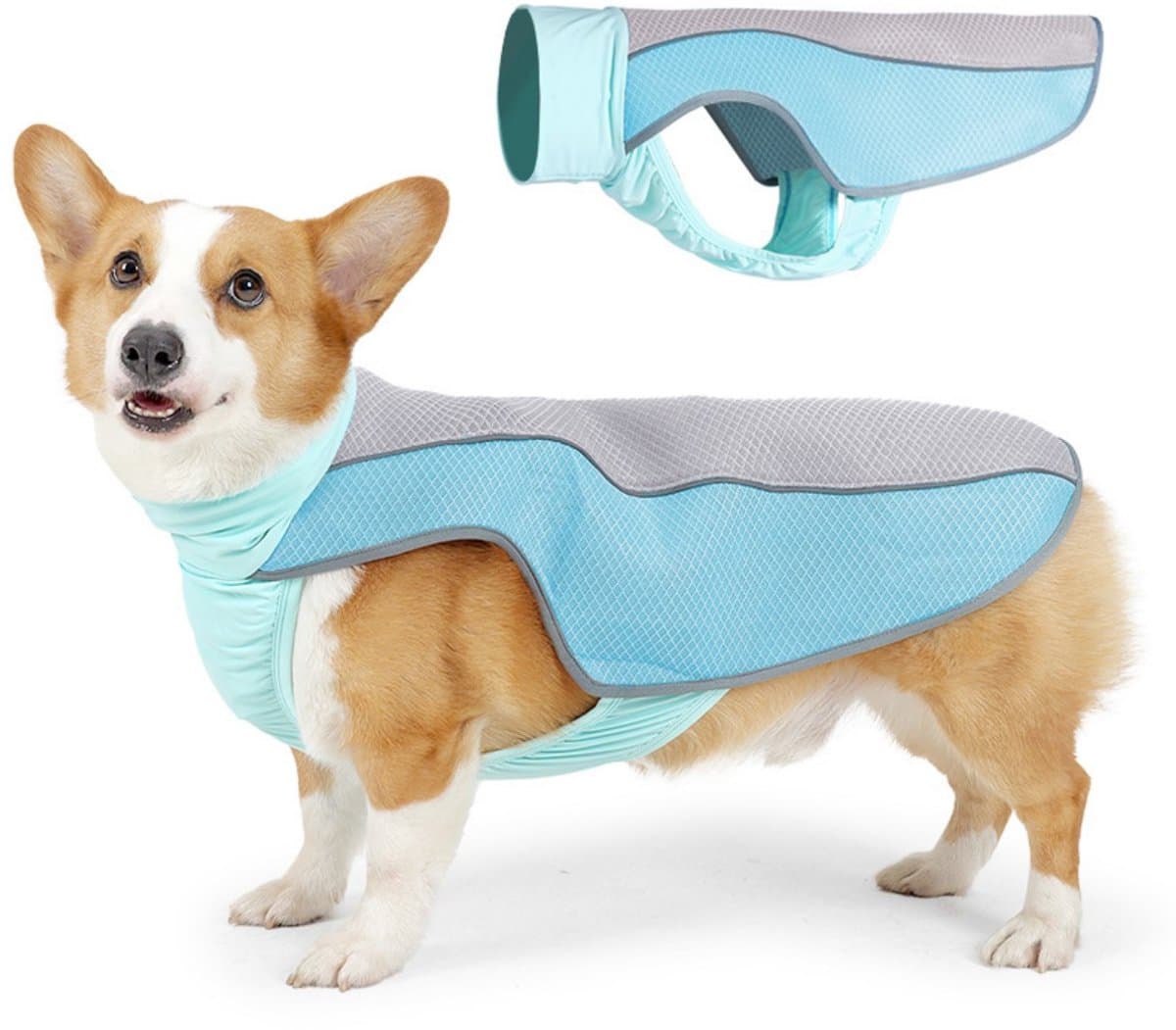 Hondenkoelvest - Lichtgewicht hondenkoeljas - Ademend mesh hondenkoelshirt - Met reflecterende strips - Zomerse hitteverlichting - Geschikt voor strand, wandelen, wandelen, buiten, jagen, training, kamperen (M)