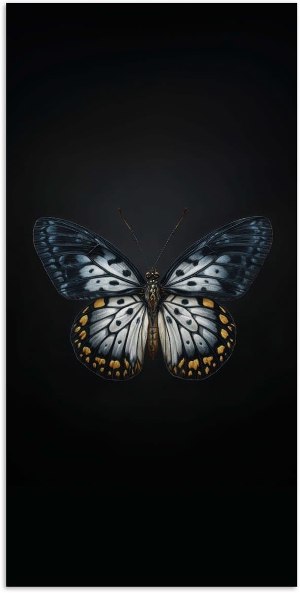 Poster 20x40 cm - Vlinder - Monochroom - Balans - Posters - Kamer decoratie - Wanddecoratie woonkamer - Muurdecoratie slaapkamer