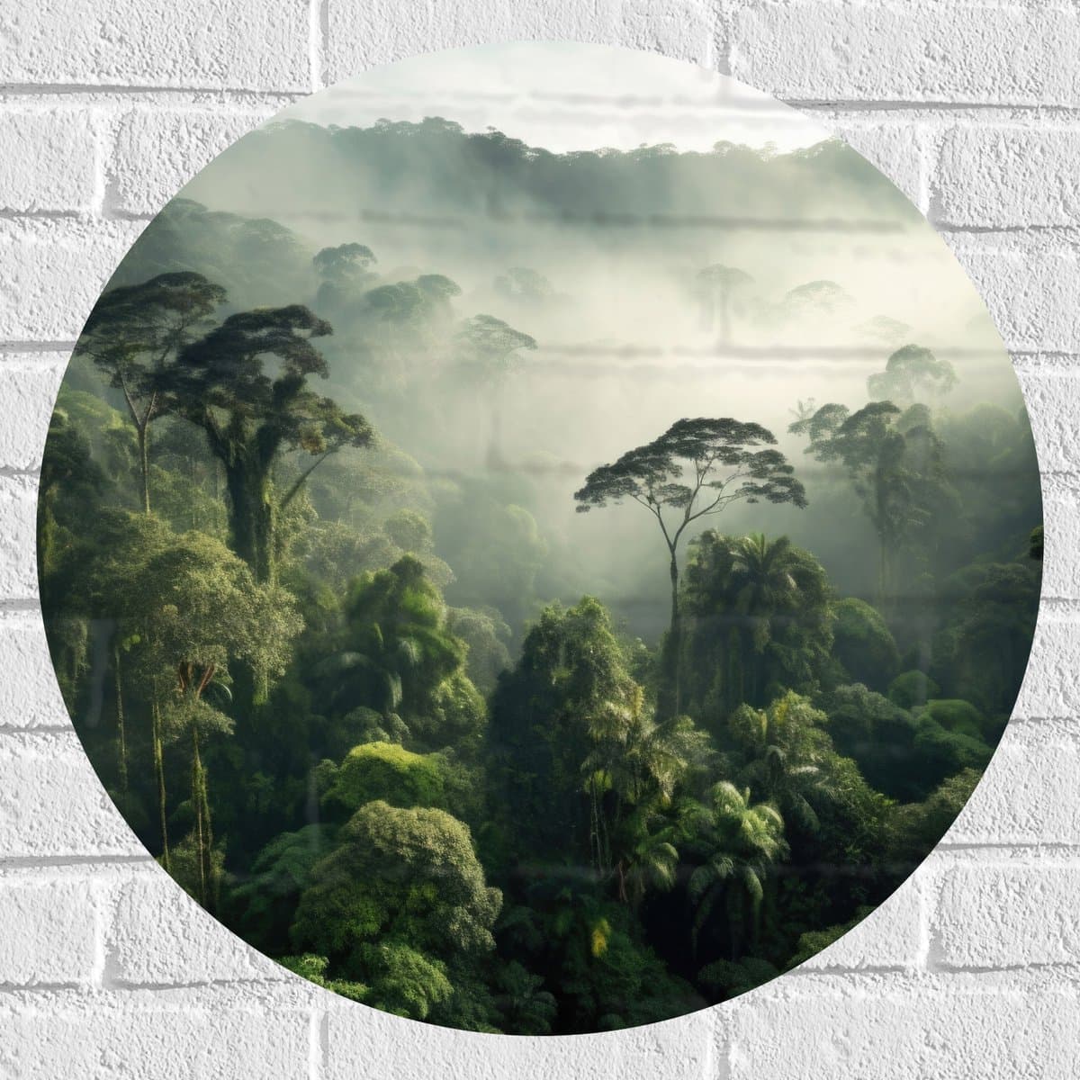 Muursticker Cirkel - Bomen - Bos - Groen - Mist - 60x60 cm Foto op Muursticker