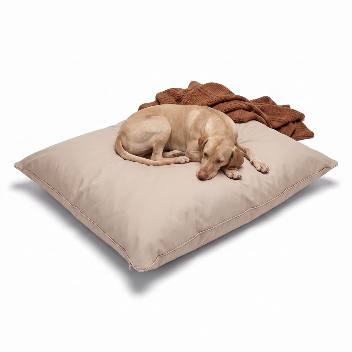 Lomera Hondenkussen - Hondenbed - Benchkussen - Hondenmatras - Huisdierenkussen - Hondenkussen met Afneembare Wasbare Hoes - Beige Hondenkussen - Rechthoekig Hondenkussen - Ligkussen voor Honden - Hondenkussen voor Kleine en Middelgrote Honden