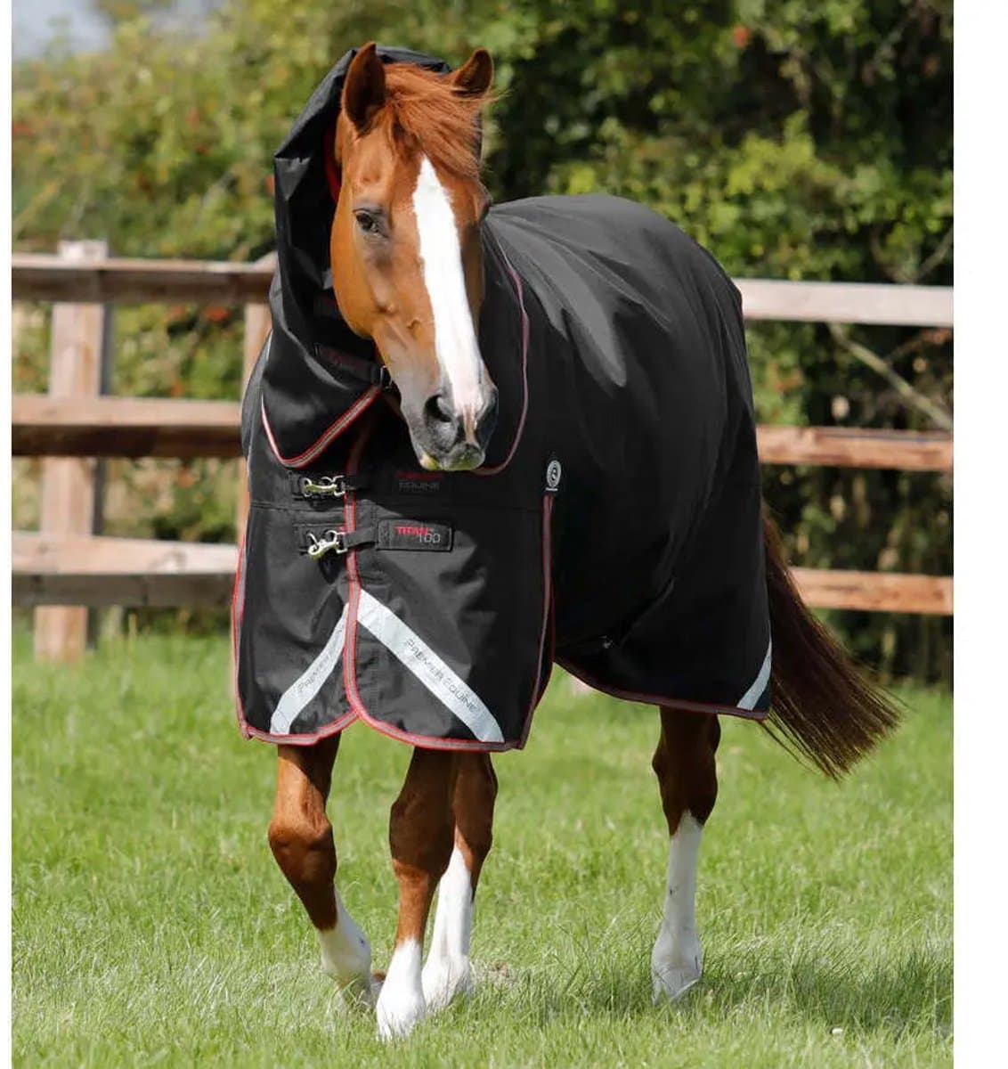 Premier Equine Titan 100g Outdoor Paardendeken met Nekbedekking
