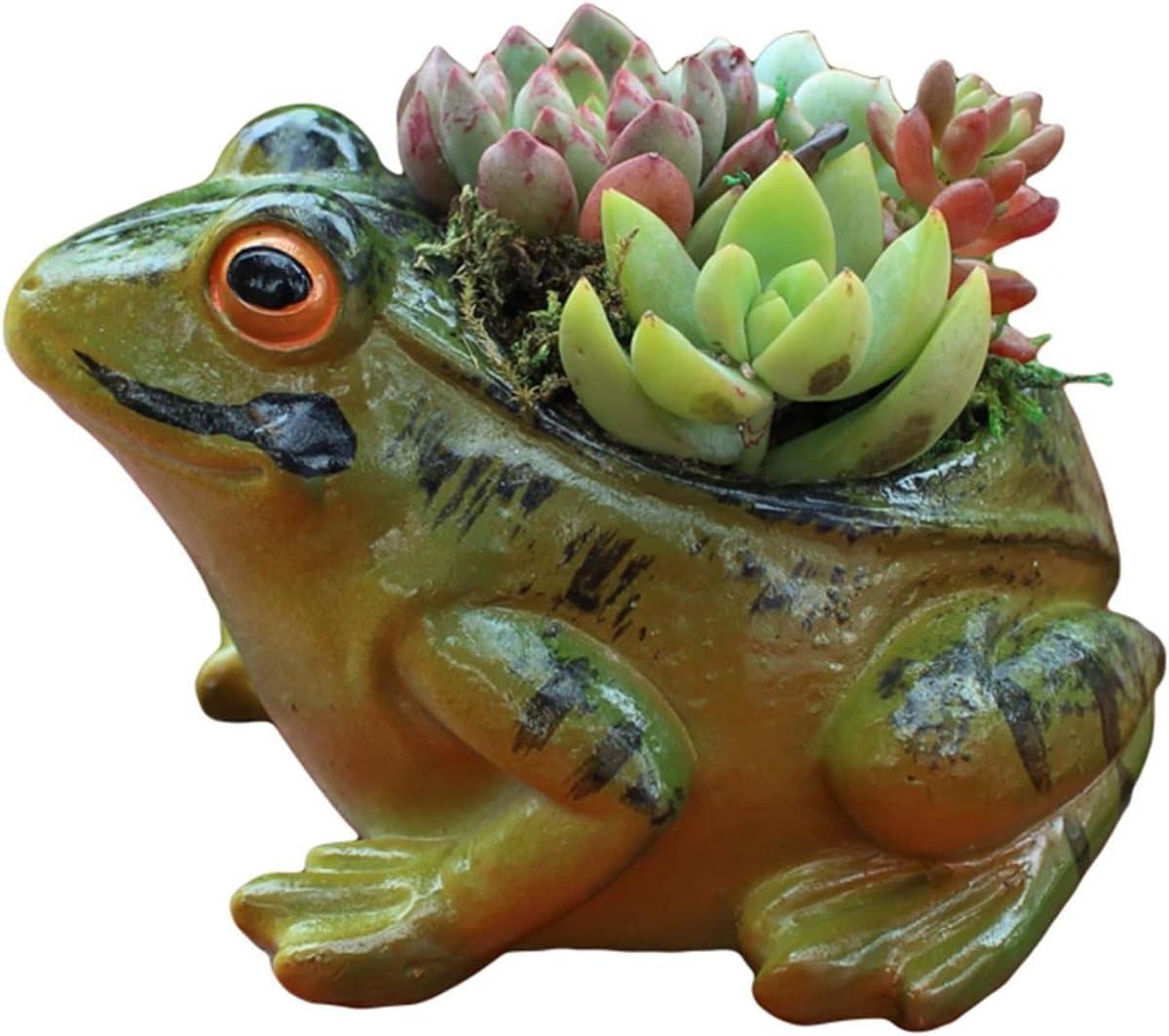 Kikker Bloempot - Mini Planter - Planten Decoratie - Schattig Ontwerp - 11.3cm Hoog - Groen