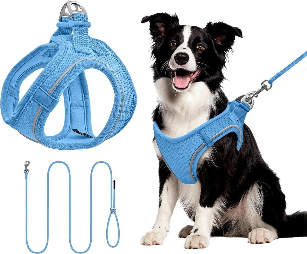 Harnas en Lijn Set - Hondenlijn Harnas - Hond Uitlaten - Anti-Trek Ontwerp - Maat L - Blauw