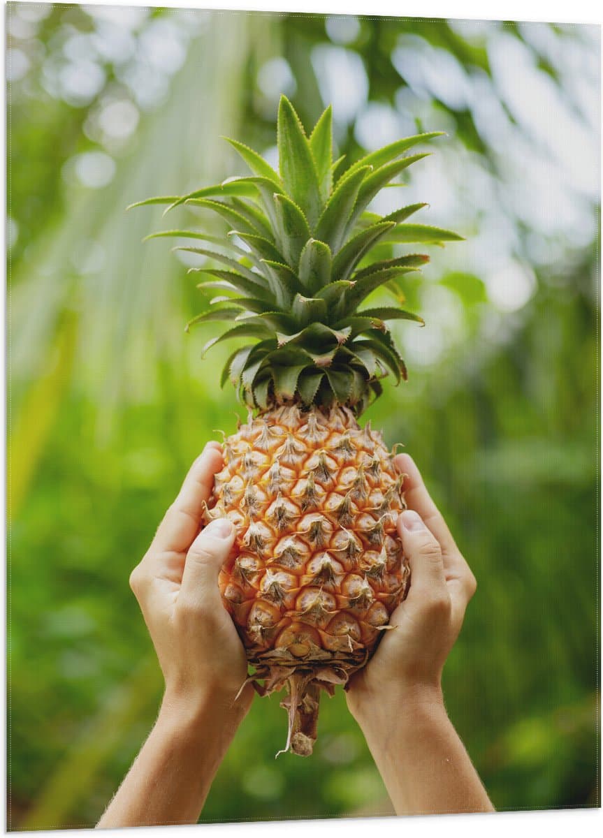 Vlag - Verse tropische Ananas in Mensenhanden - 70x105 cm Foto op Polyester Vlag