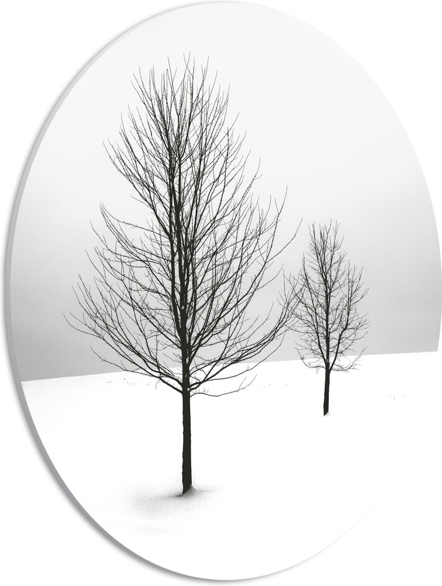 PVC Schuimplaat Ovaal - Landschap - Bomen - Sneeuw - Wit - 30x40 cm Foto op Ovaal (Met Ophangsysteem)