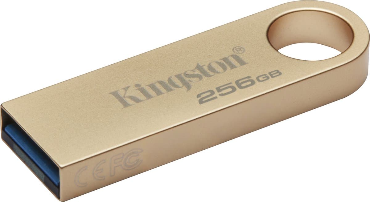 Kingston Technology DataTraveler 256 GB 220 MB/s metalen USB 3.2 Gen 1 SE9 G3