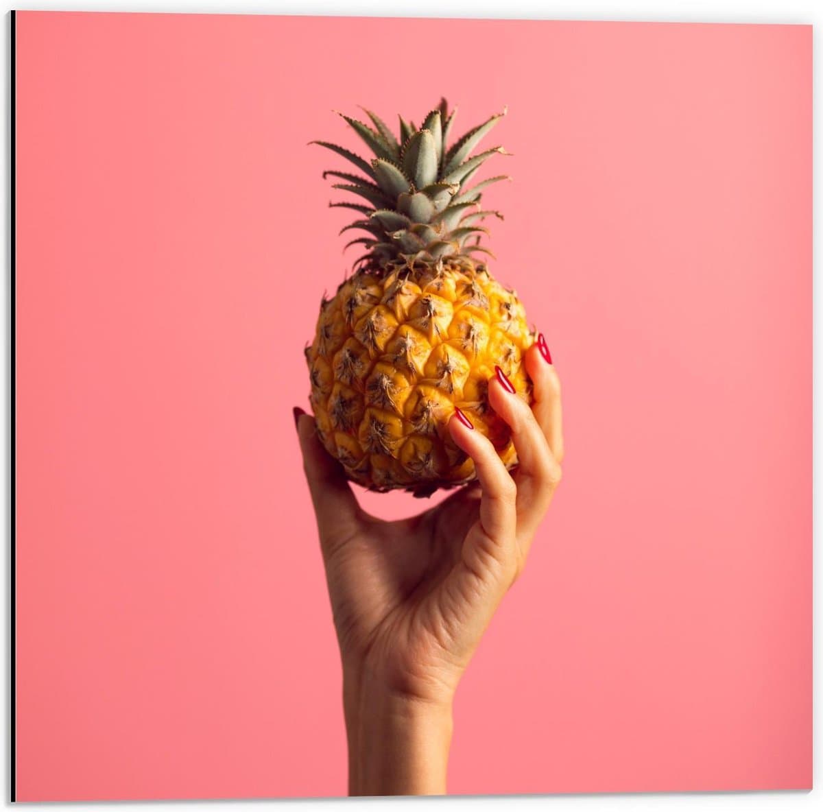 Dibond - Ananas in Hand op Roze Achtergrond - 50x50cm Foto op Aluminium (Met Ophangsysteem)