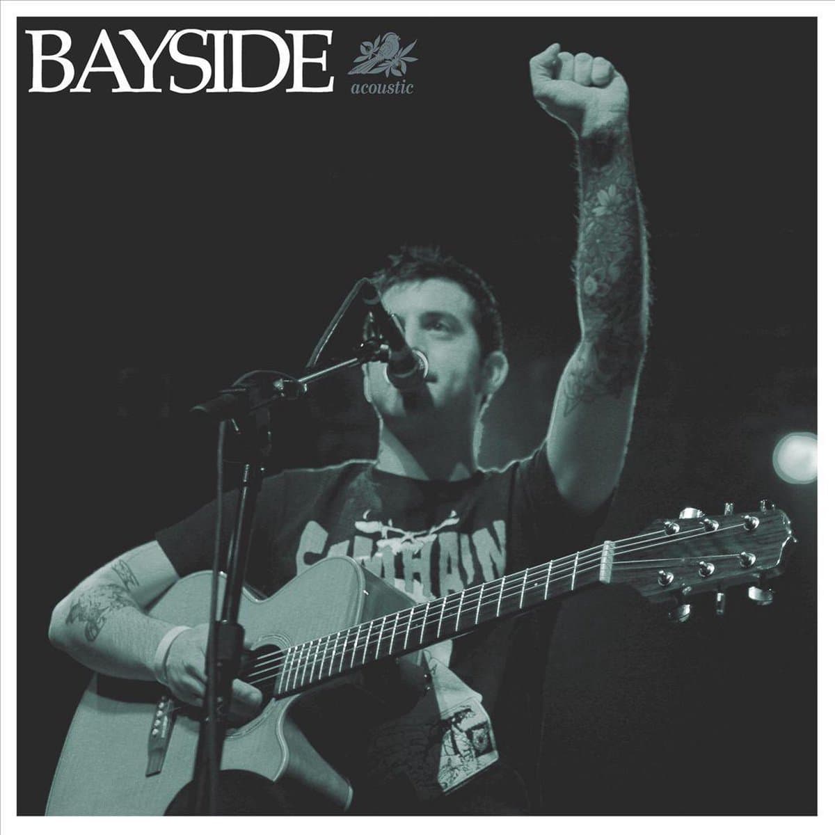 Acoustic + Dvd