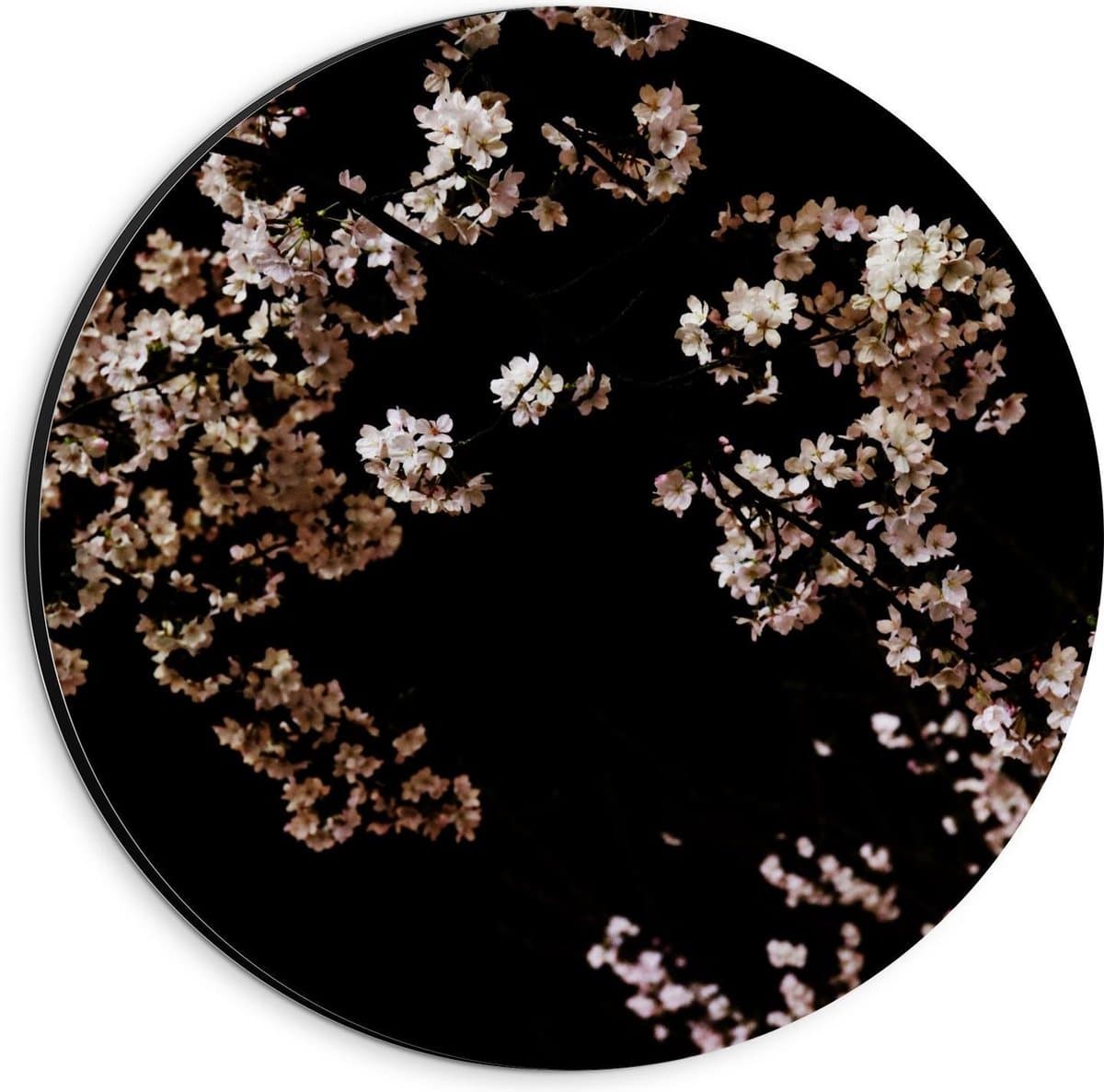 Dibond Wandcirkel - Bloesem op Zwarte Achtergrond - 20x20cm Foto op Aluminium Wandcirkel (met ophangsysteem)