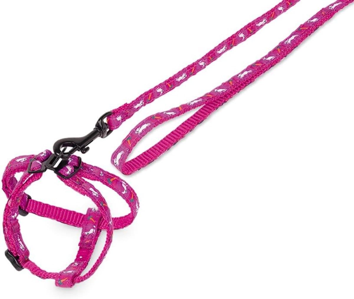 Konijnen Tuigje - Veiligheidsharnas Set - Buitenwandelen - Nylon Materiaal - 100x35x1 - Lila