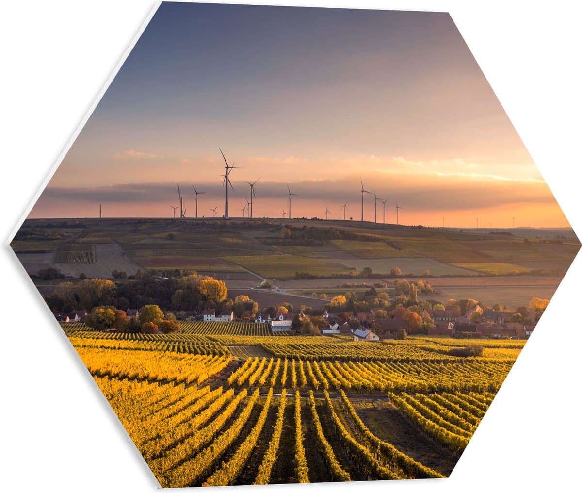 PVC Schuimplaat Hexagon - Windmolens aan Rand van Dorp - 50x43.5 cm Foto op Hexagon (Met Ophangsysteem)