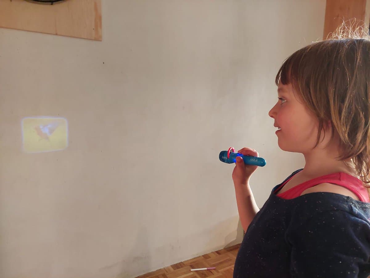 Floz Design diashow van vogels - leuk natuur ontdek speelgoed voor kinderen - educatief cadeau