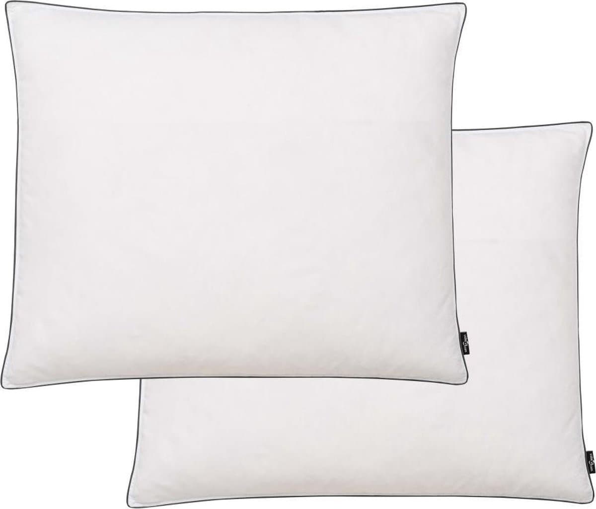 vidaXL - Kussens - 2 - st - zwaar - 70x60 - cm - dons-/verenvulling - wit