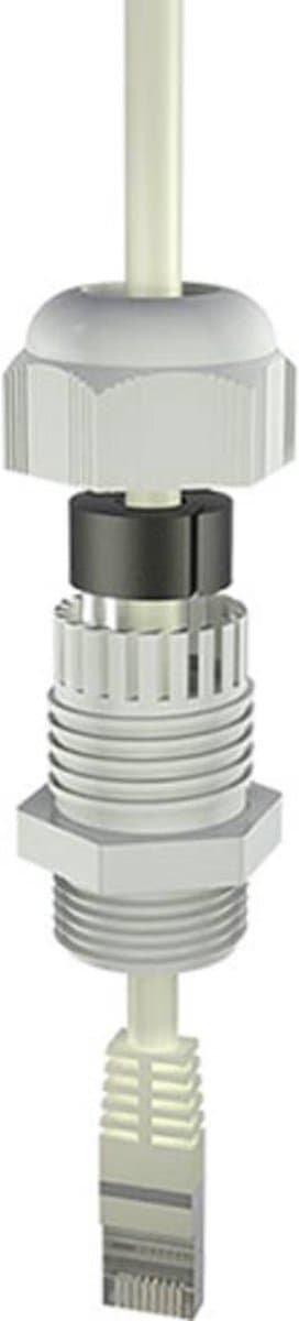 Bopla 12002418 Wartel M20 Polyamide 6 Grijs-wit (RAL 7035) 1 stuk(s)