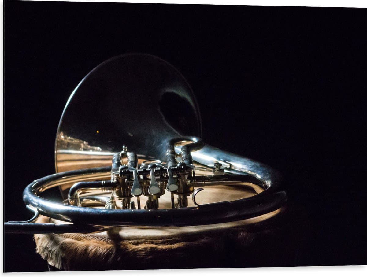 Dibond - Liggend Gouden Blaasinstrument tegen Zwarte Achtergrond - 80x60 cm Foto op Aluminium (Wanddecoratie van metaal)