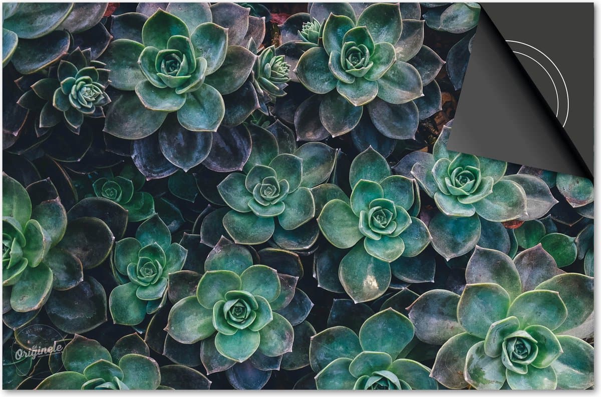 Inductie beschermer 78x52 - afdekplaat inductie mat - Dietrix Kookplaat beschermer - Base - Bloemen en Planten - Vetplantjes