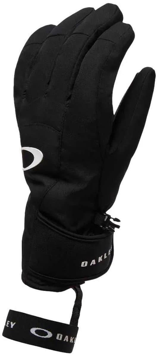 Oakley Apparel Powder Ridge Handschoenen Zwart L Man