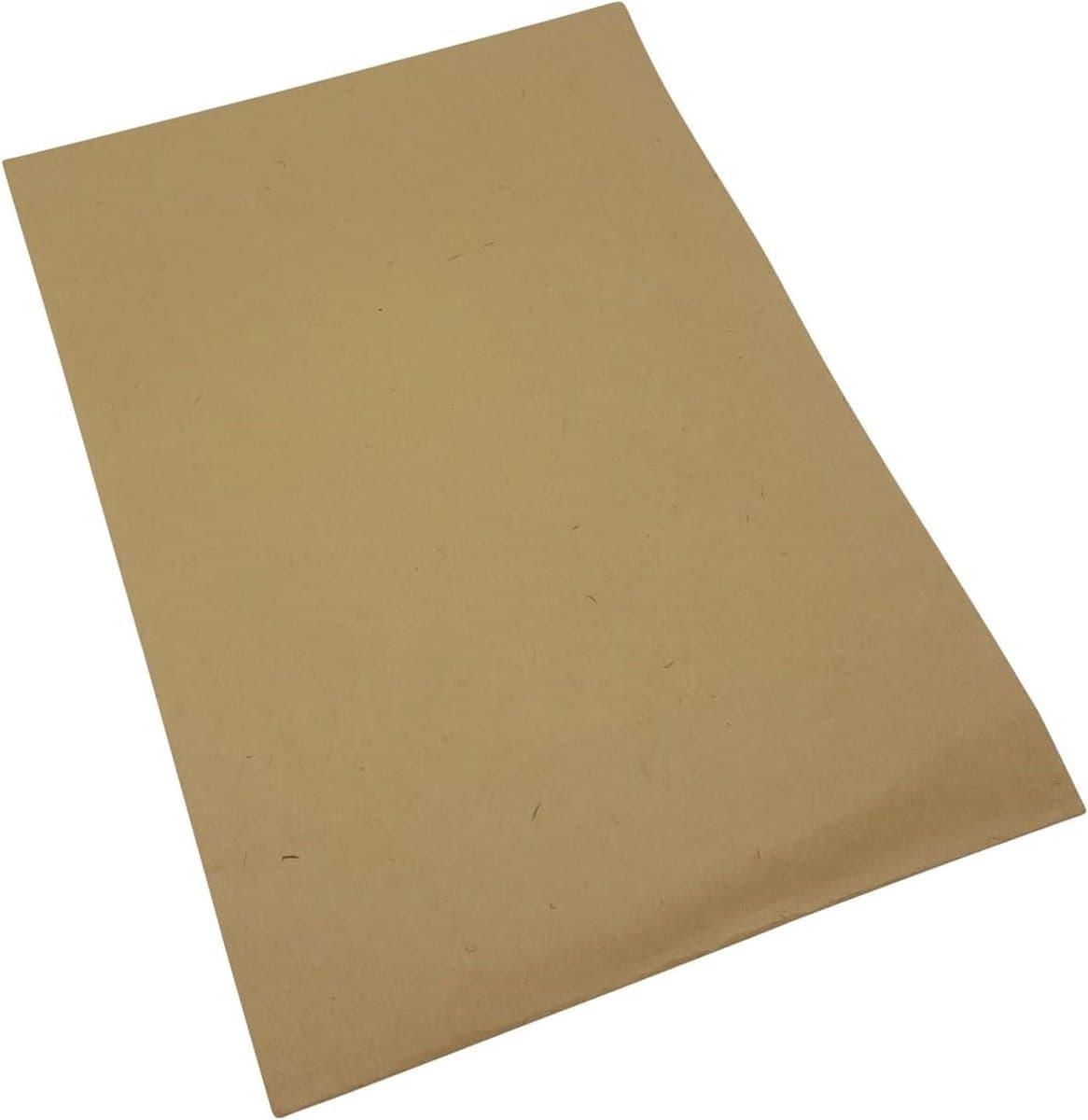 Stofzuigerzakken - Papieren zakken - Stofzuigen - Dubbellaags - 10 stuks - Bruin