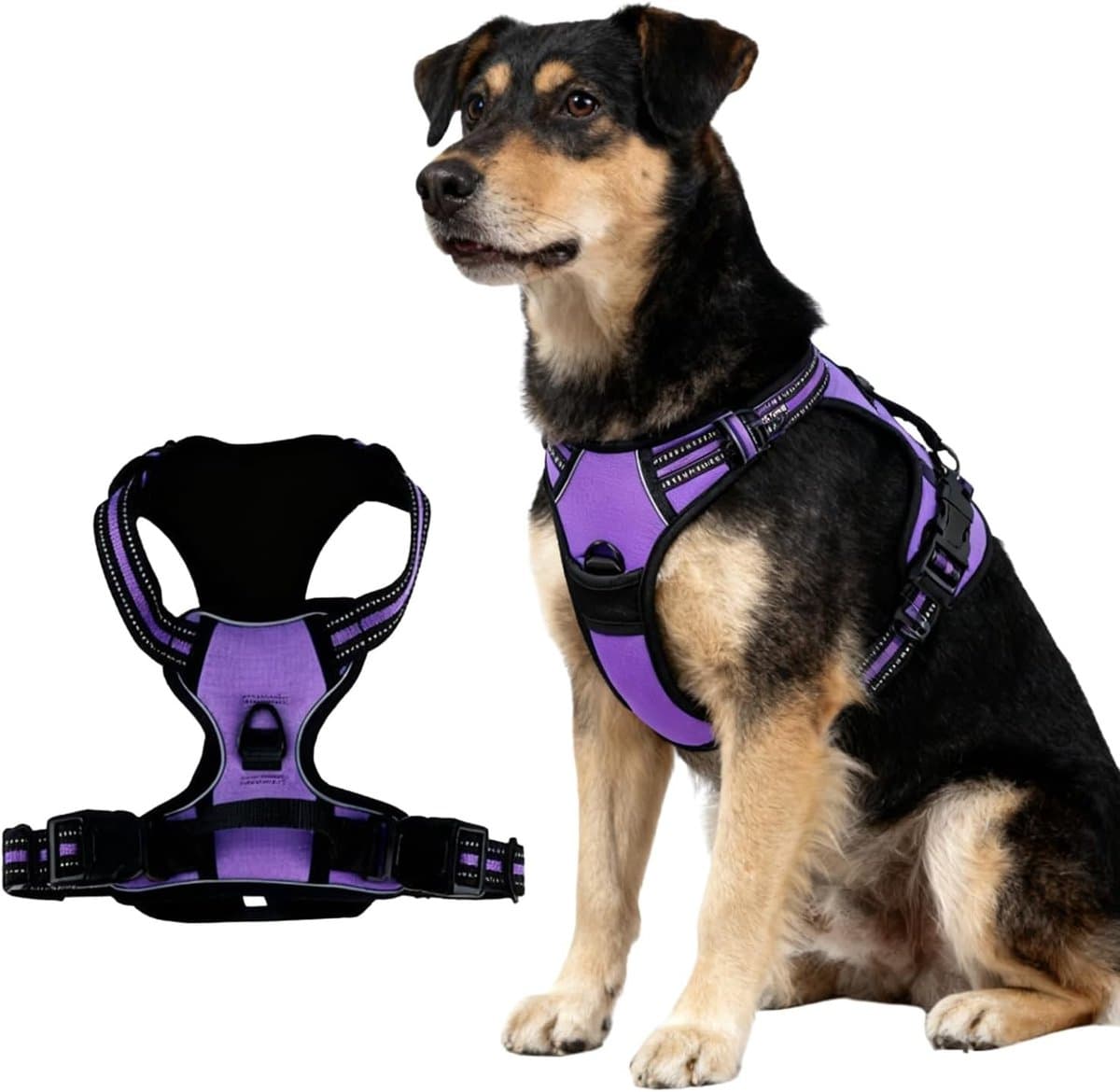 Hondentuigje - Harnas Hond - Veilig Wandelen - Reflecterend Ontwerp - Maat S - Paars