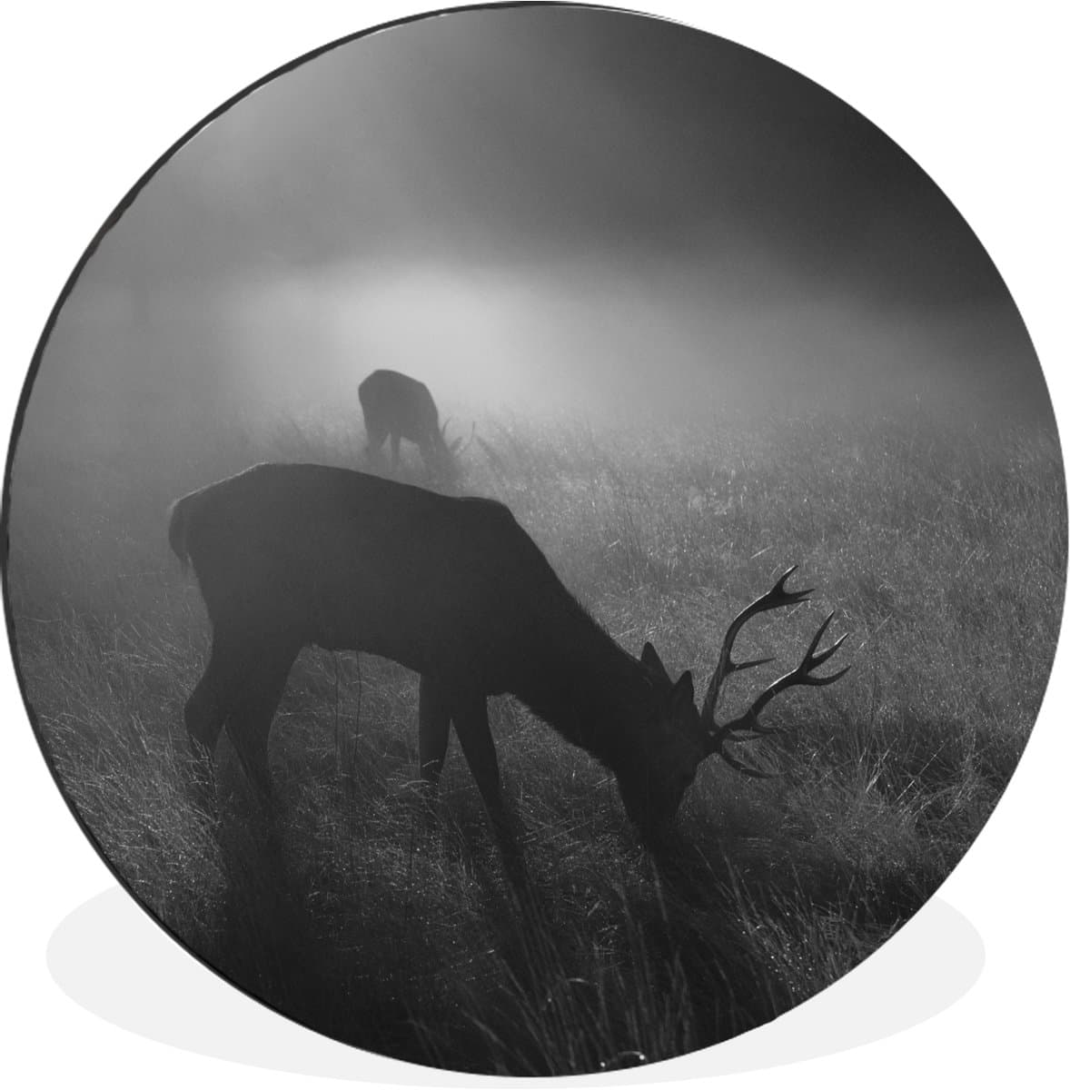 WallCircle - Wandcirkel - Muurcirkel - Herten grazen in mistig veld - zwart wit - Aluminium - Dibond - 120x120 cm - Binnen en Buiten XXL