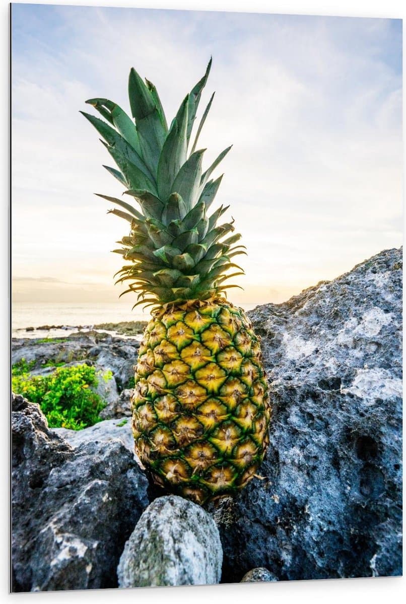 Dibond - Gele Ananas op Rotsen - 80x120cm Foto op Aluminium (Wanddecoratie van metaal)