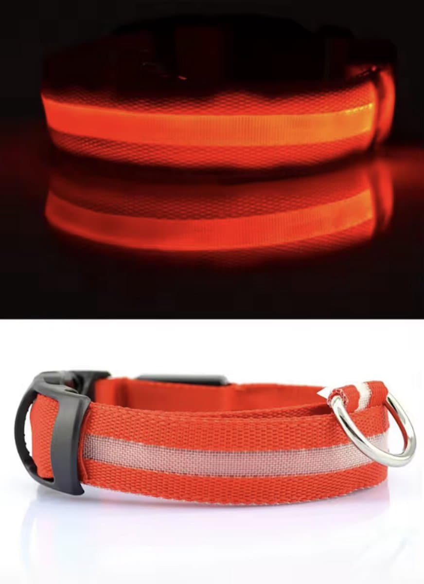 CHPN - Honden LED-Halsband - LED halsband voor honden - Lichtgevende halsband - Honden halsband - Halsband - Rood - S - 35-43 cm - Dierenband - Collar - 1 halsband