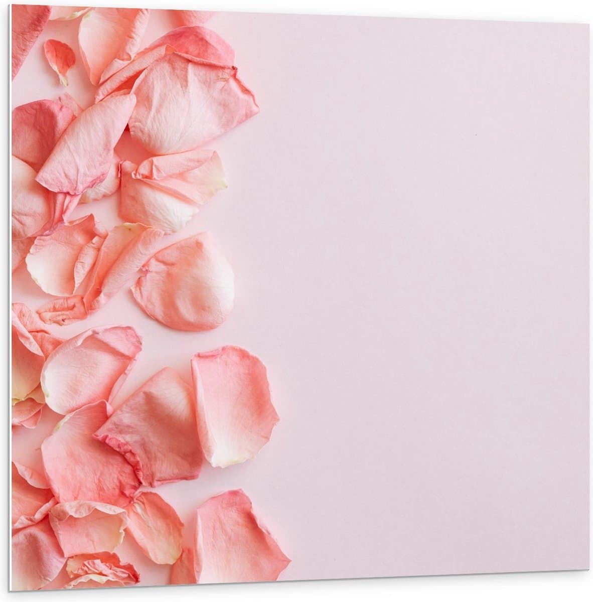Forex - Rand van Rozenblaadjes - 100x100cm Foto op Forex