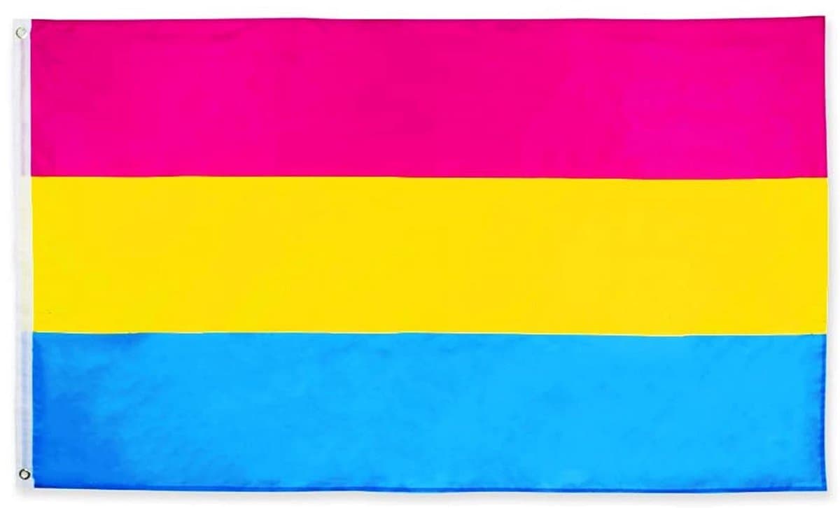 Dailygoods - Pansexual Pride Vlag 90 x 150 cm - Weerbestendig met Messing Ogen