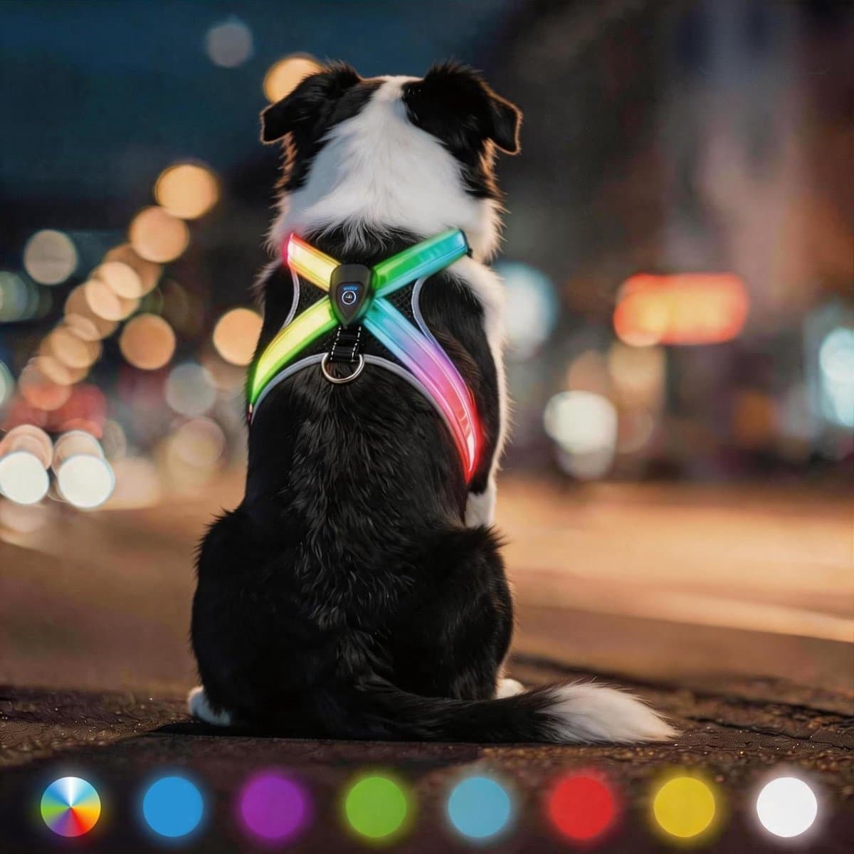 Hondenharnas Oplichtend - LED Tuig - Nachtelijke Wandelingen - 360 Graden Zichtbaarheid - Verstelbaar - Meerkleurig