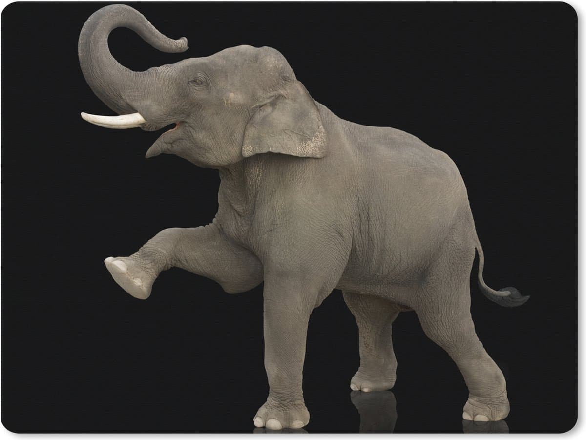 Muismat XXL 80x60 cm - Bureau onderlegger - Bureau mat Olifant - Dieren - Zwart - Portret - Bureaumat - Gaming mousepad xl - Bureaulegger groot - Computer deskmat