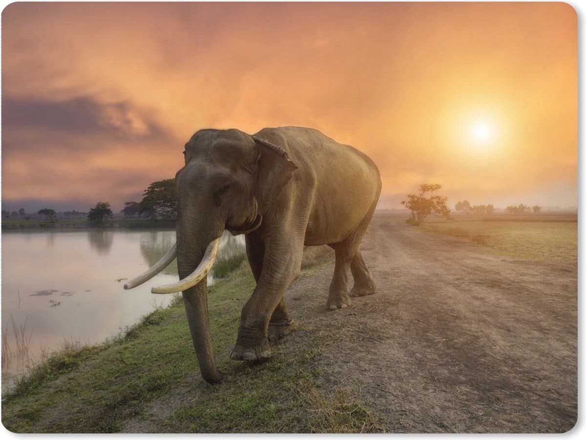Muismat XXL 80x60 cm - Bureau onderlegger - Bureau mat Olifant - Water - Dieren - Zonsondergang - Natuur - Bureaumat - Gaming mousepad xl - Bureaulegger groot - Computer deskmat