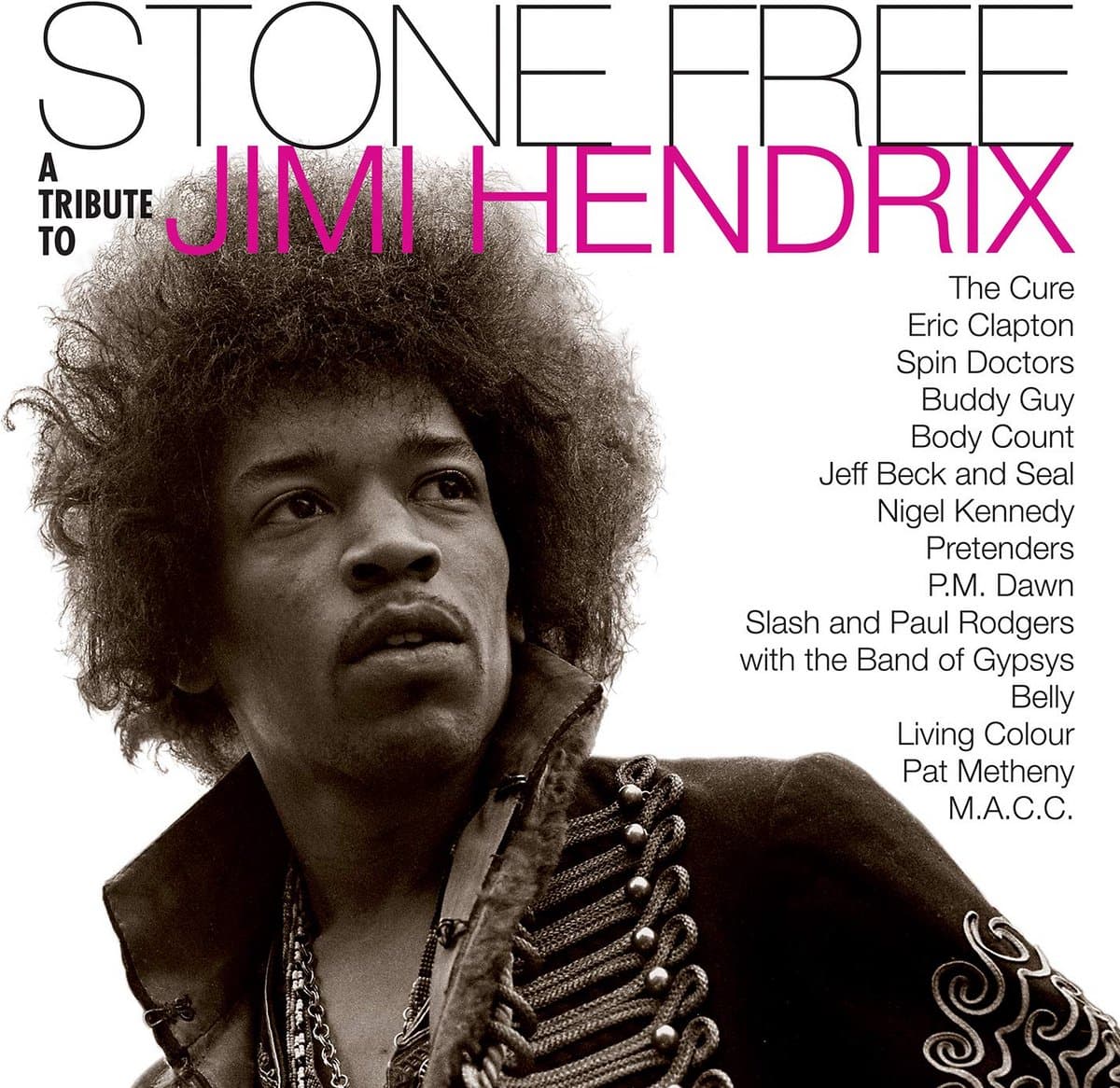 Jimi Hendrix Tribute Album - Stone Free