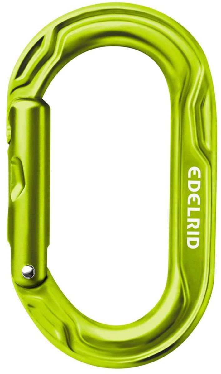 Edelrid Kiwi Karabijnhaak Groen