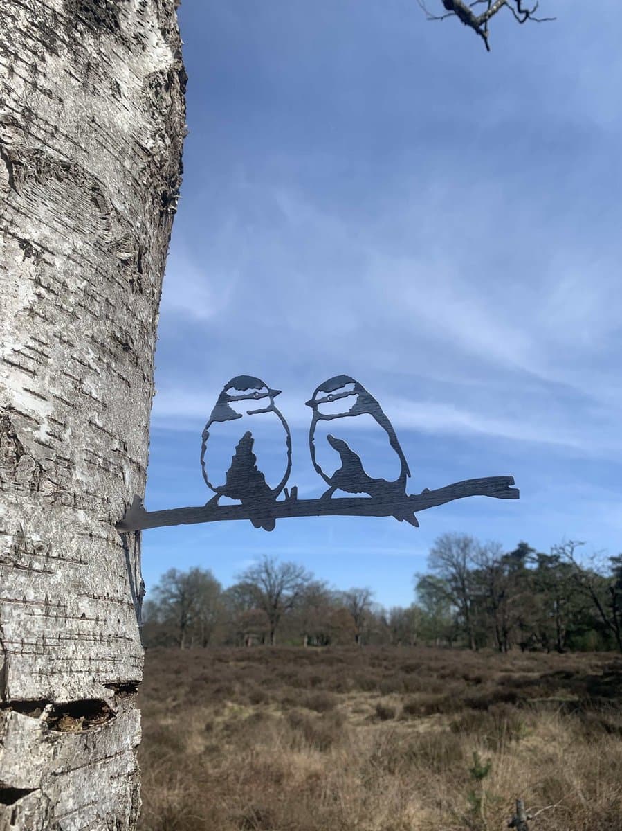 Metalen vogels tuin decoratie - De Pimpelmezen - Decoratie vogels