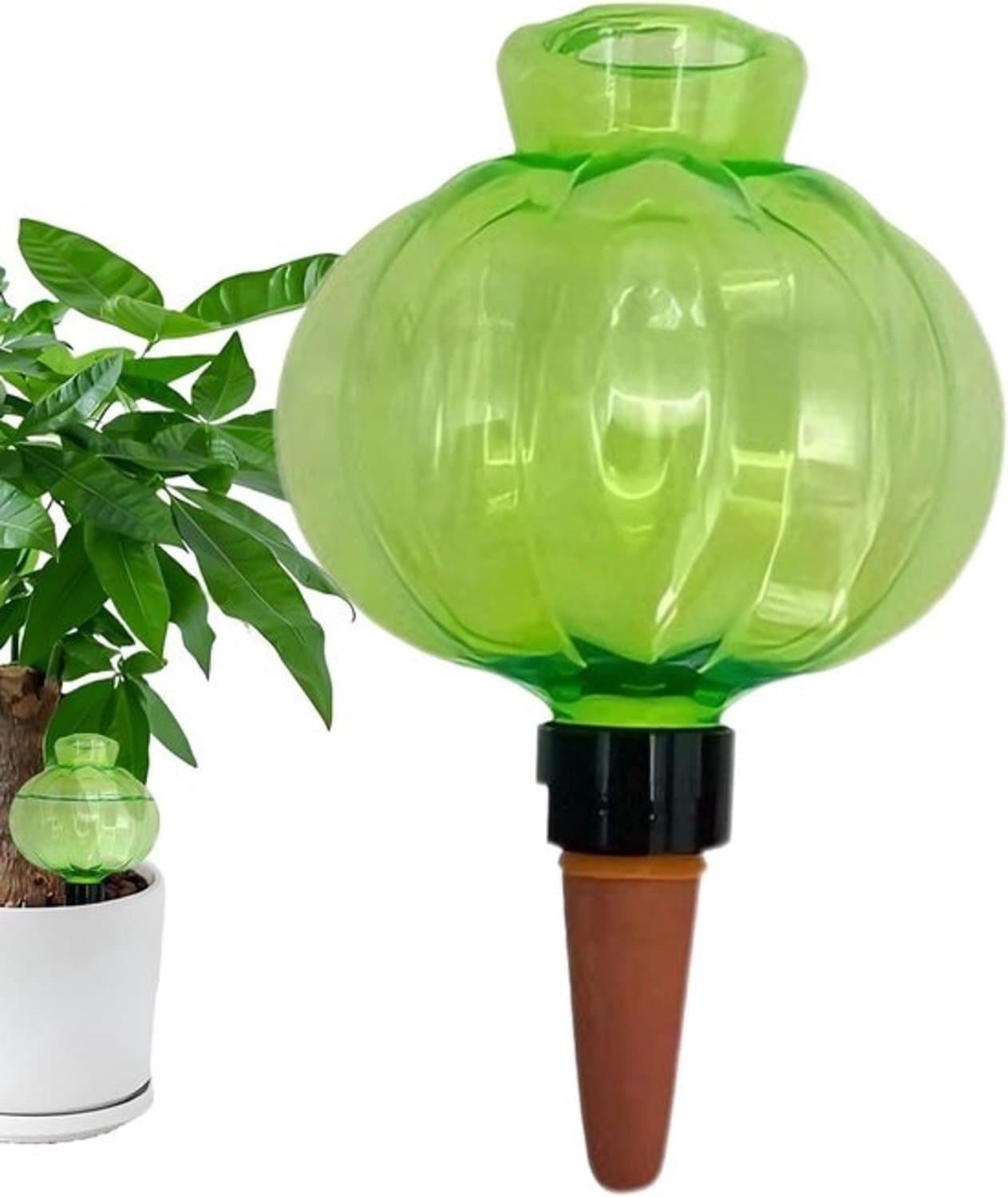 Waterbollen voor kamerplanten - Zelfwatergevers - Druppelaars - Planten water geven - Langzame vochtafgifte - 17 oz - Transparant