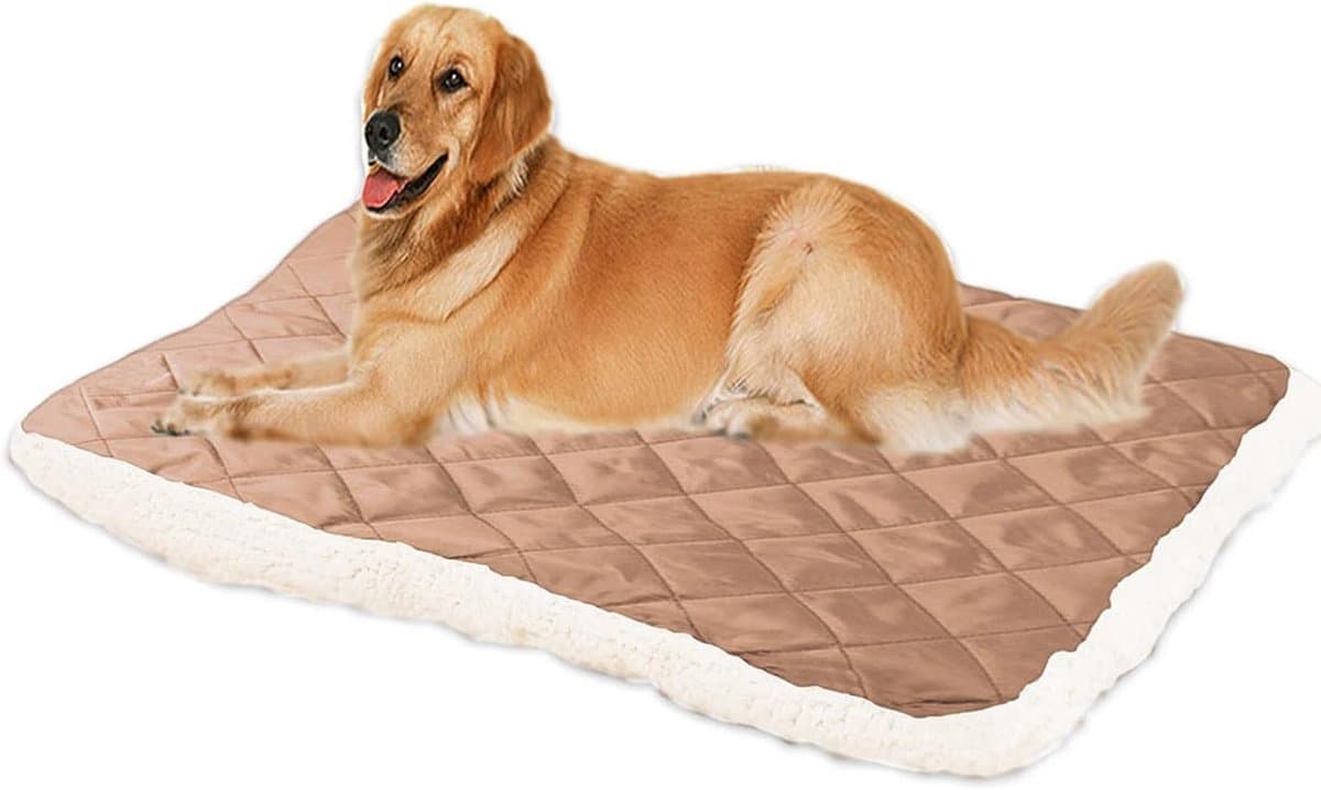 Huisdier Mat - Hondenkleed Kattenkussen - Comfortabel Rusten - Dubbelzijdig Bruikbaar - 100 x 80 cm - Khaki