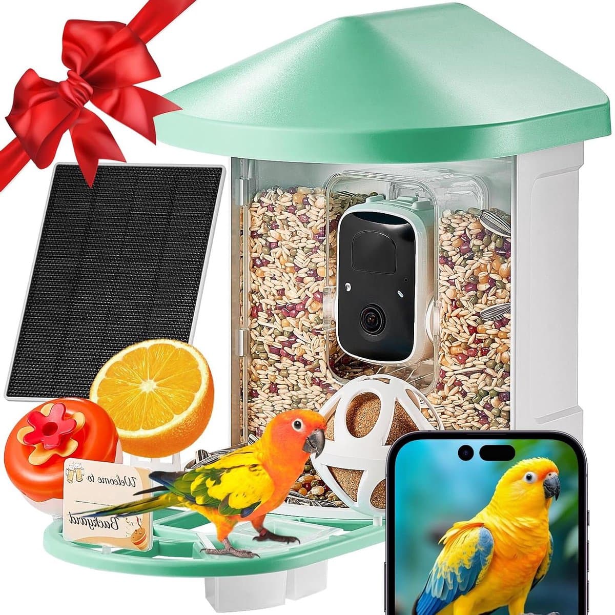 Intelligente Vogelvoederautomaat - Vogelcamera Voederhuis - Vogels Observeren - AI Vogelidentificatie - 2L Capaciteit - Groen