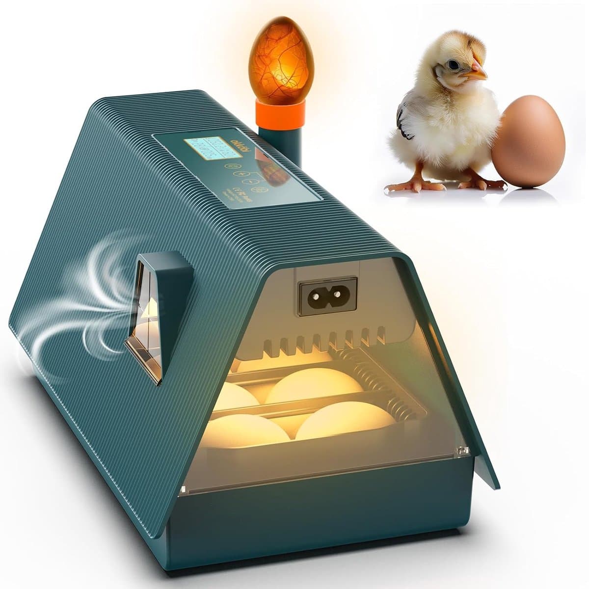 Thijox - Okkobi M10 Automatische Eierbroedmachine - 10 Eieren Incubator met Automatische Draaifunctie en Vochtigheidscontrole voor Pluimvee - Groen &